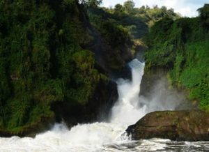 Murchison Falls national Park