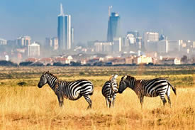 Nairobi National Park-Kenya national Parks