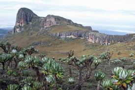 Mount Elgon national Park-Kenya national Parks