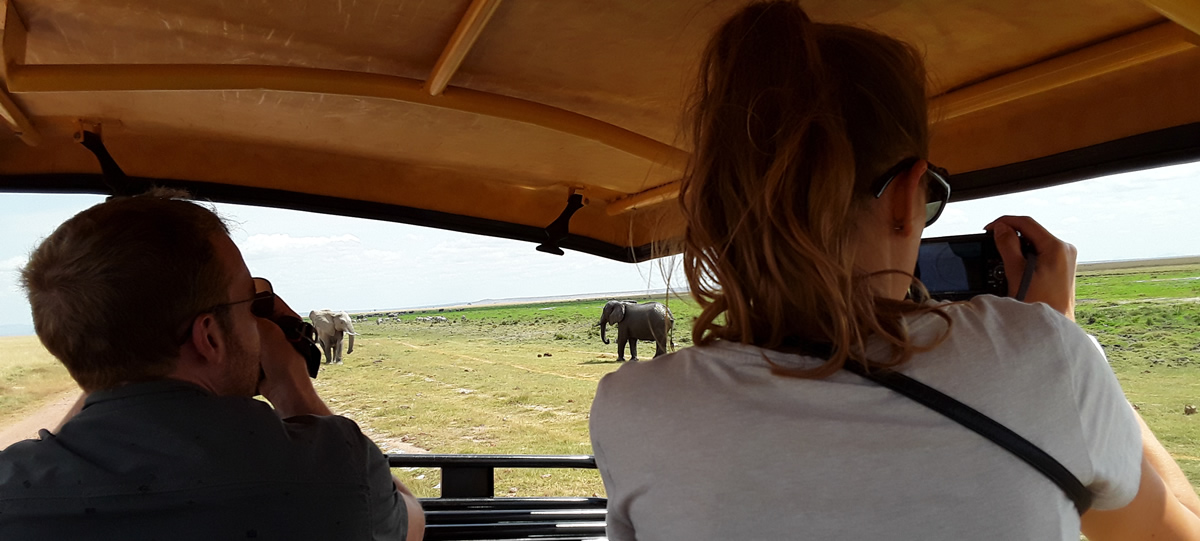 self drive kenya safari experience