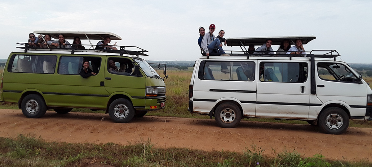 Self Drive kenya safari in kenya