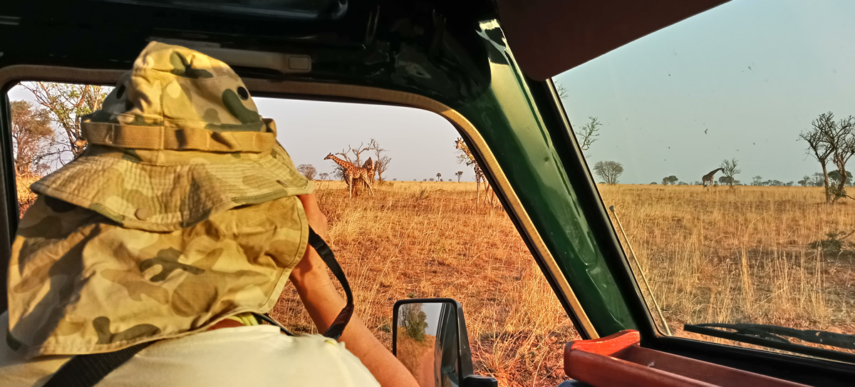 self drive kenya safari-self drive kenya