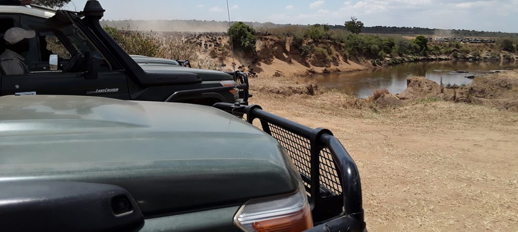 self drive kenya-self drive safari-masai mara
