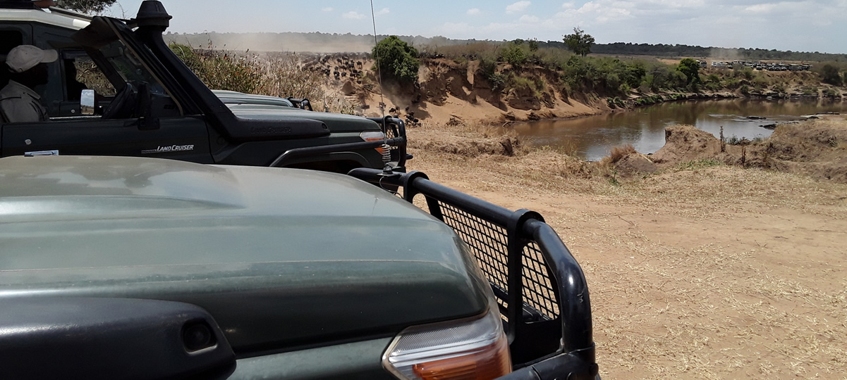 self drive kenya-self drive safari