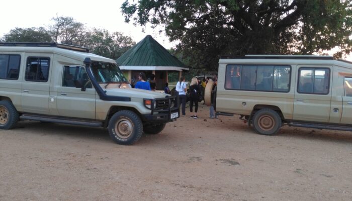 IMG_20181230_071310[1]