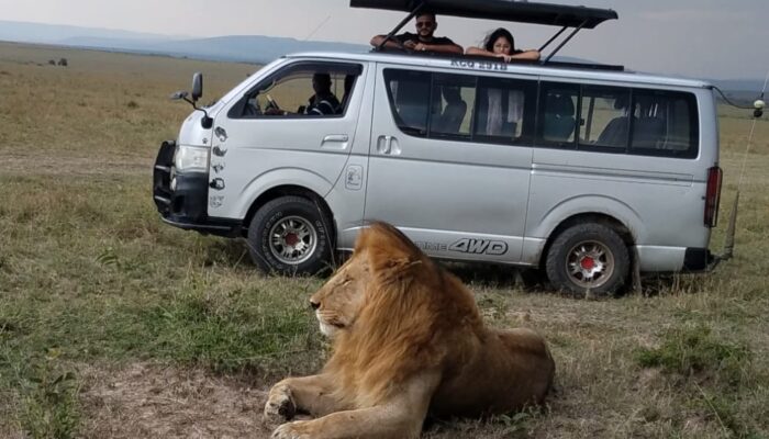 Authentic adventure in the wild, with a mini van