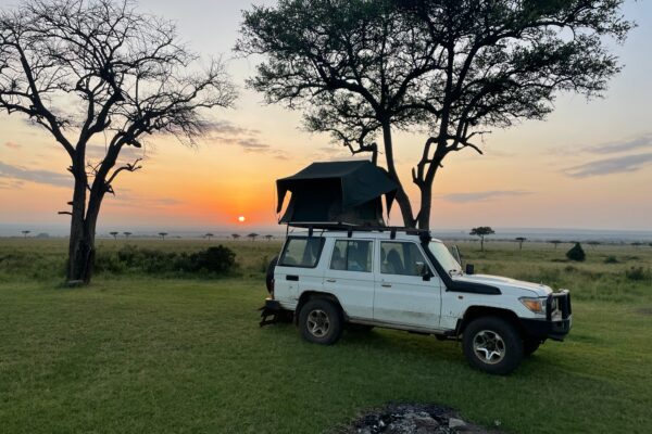 Toyota Land Cruiser with 1 or 2 rooftop tents