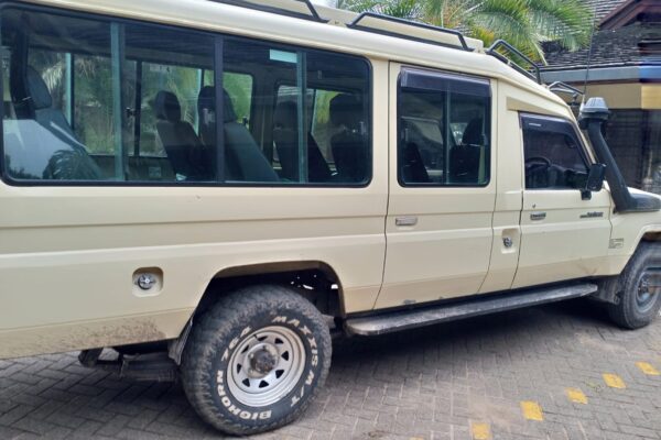 Toyota Land Cruiser with A Driver