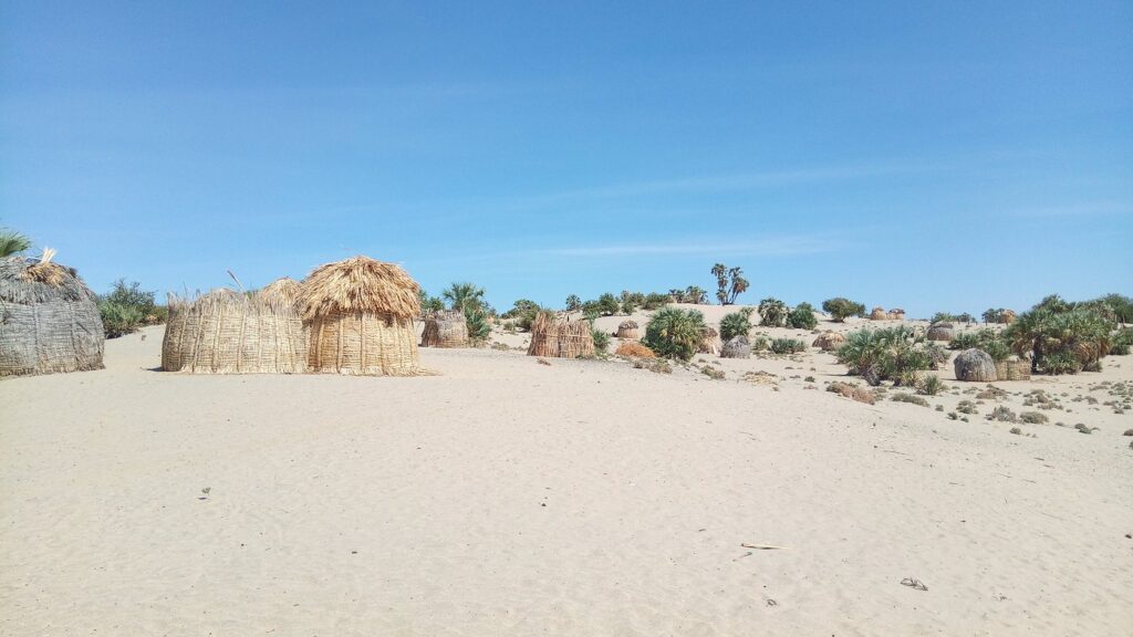 What Makes Turkana an Attractive Destination for a Self-Drive Safari?