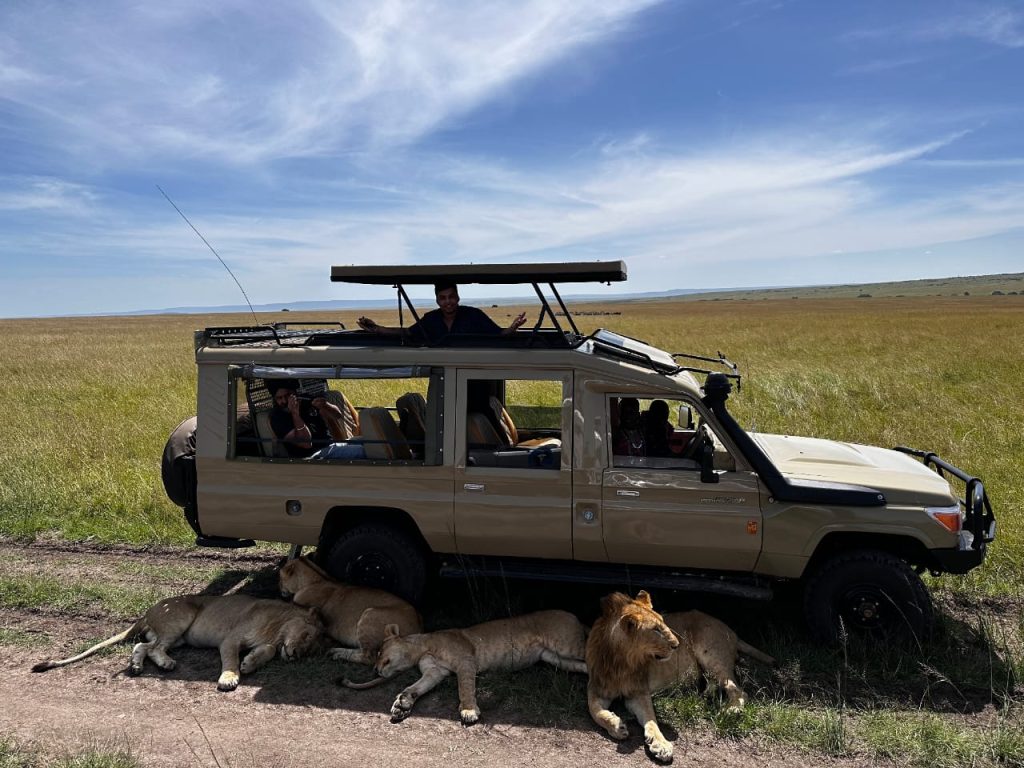 Land Cruiser Safari Jeep