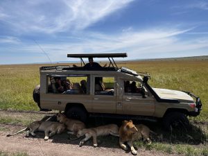 Land Cruiser Safari Jeep