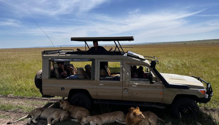 Land cruiser safari Jeep Land Cruiser Safari Jeep