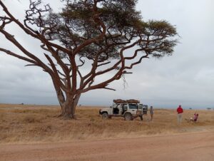 Land cruiser LX car rental with rooftop tent in Kenya